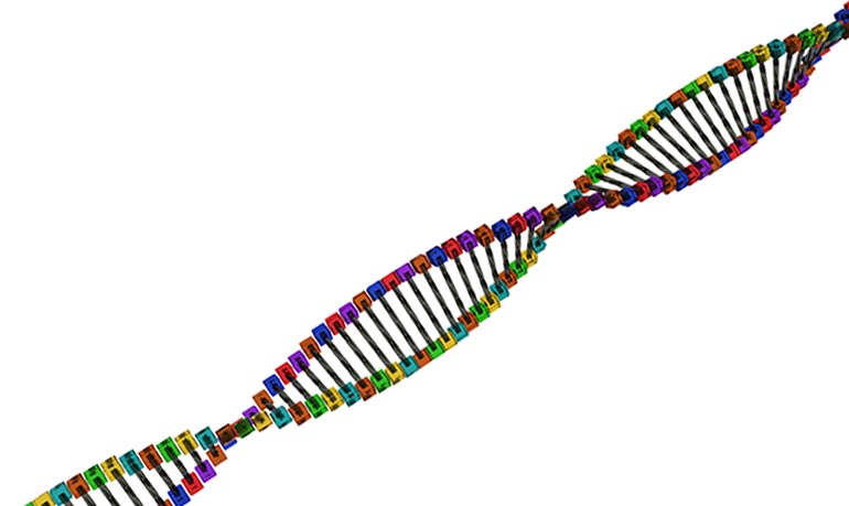 DNA sequencing